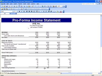 permit-expediting-financial-perspectives-pro-forma